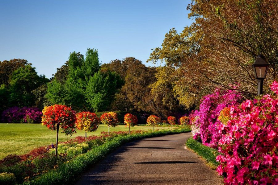 scenic landscape