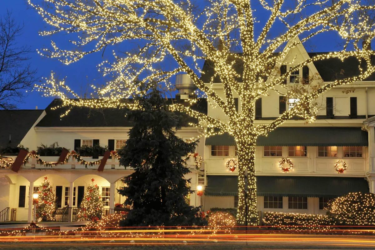 a house with christmas lights on the trees in front of it