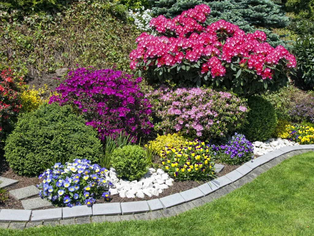 a garden filled with lots of different types of flowers and shrubs