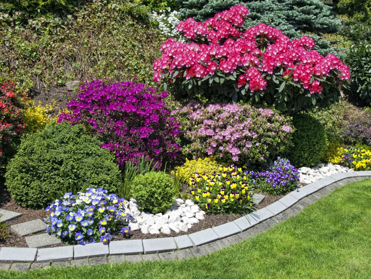 a garden filled with lots of different types of flowers and shrubs