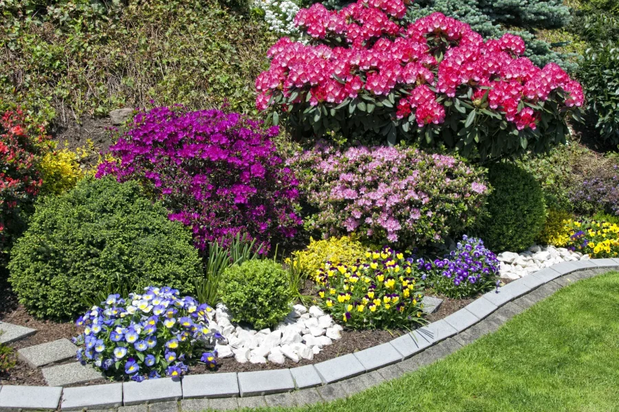 a garden filled with lots of different types of flowers and shrubs