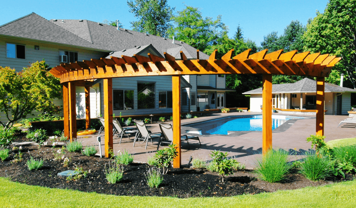 Backyard pool and landscape design