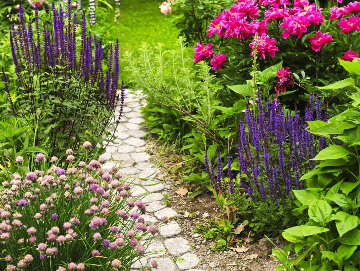 Front or backyard garden