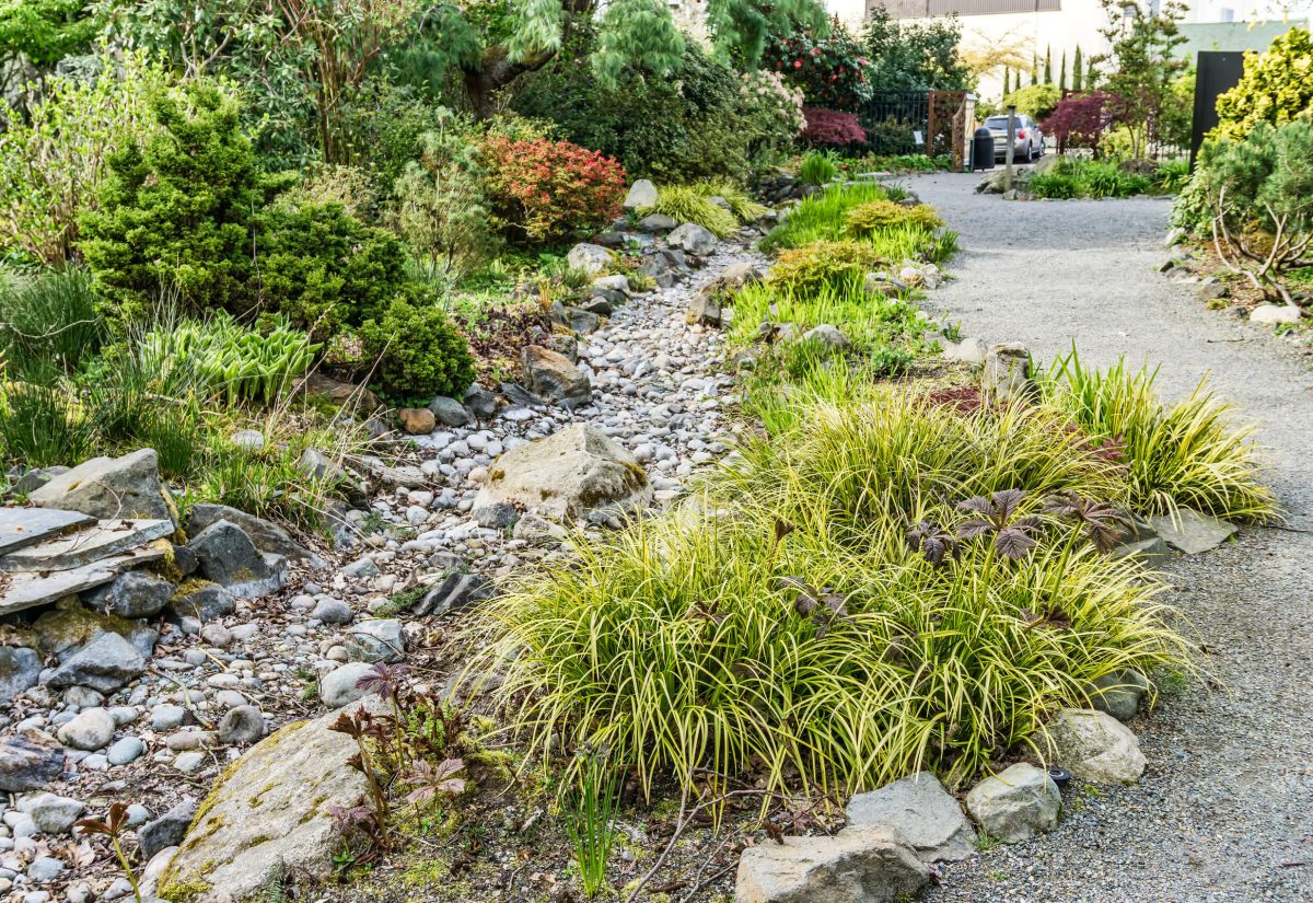 Dry Creek Bed